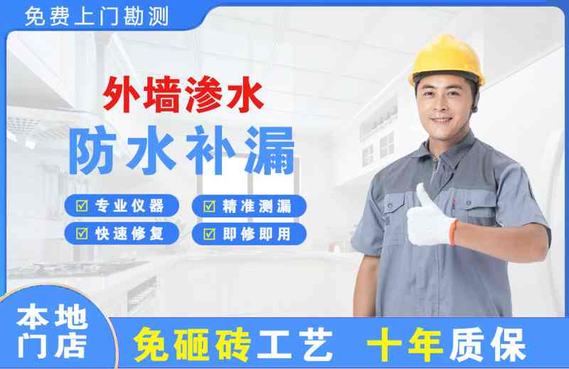 芦淞外墙渗水维修